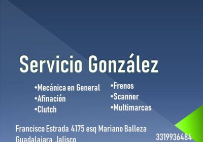 Servicio-Gonzalez